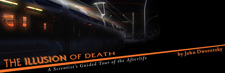 The Illusion of Death: A Scientist's Guided Tour of the Afterlife by John Dworetzky