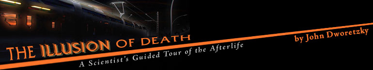 The Illusion of Death: A Scientist's Guided Tour of the Afterlife by John Dworetzky